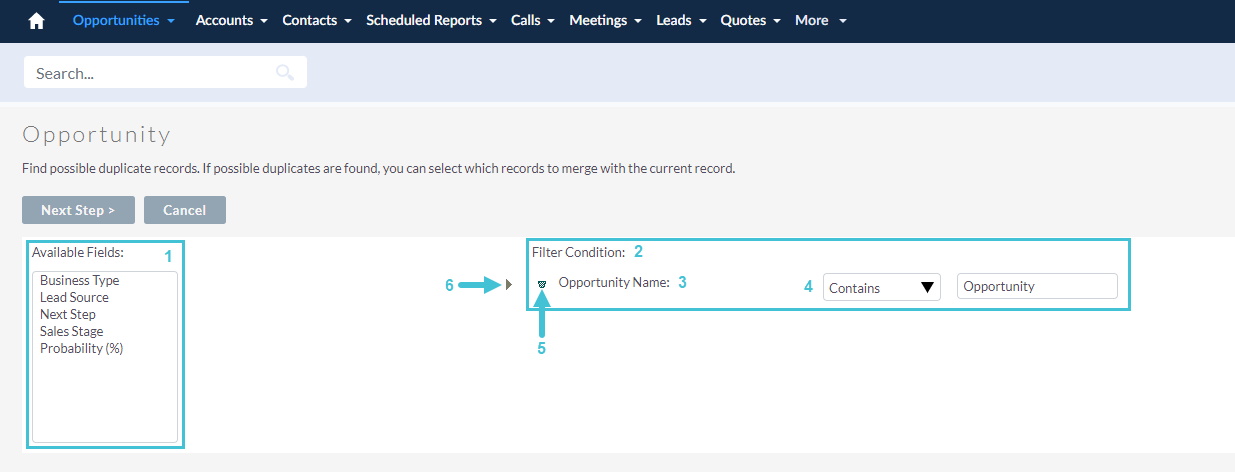 Apportunities_-_View_Opportunities_-_Find_Duplicates_2.png