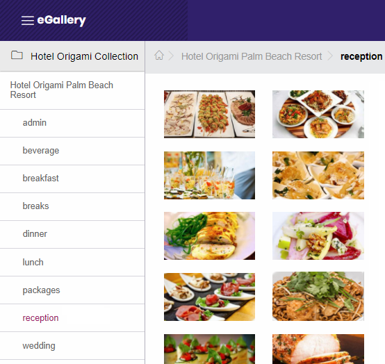 Manage_Your_ePlanner_eGallery_opens_1_.png