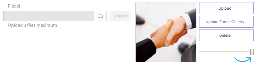 Manage_Your_ePlanner_Add_Item_Form_Upload_eGallery_Zoom.png