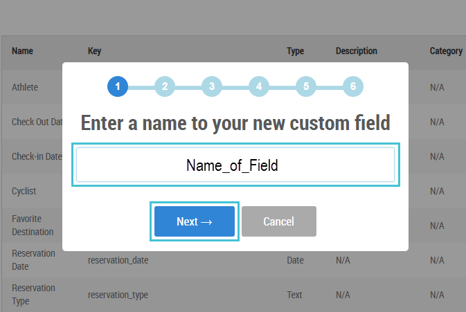 Custom Fields 4.png