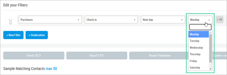 view of Purchases for Next Weekday filter configuration