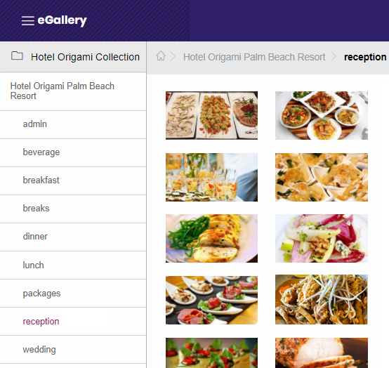 Update_Images_eGallery_opens_v2_3_.png