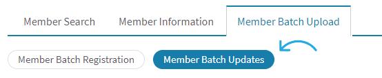 Select_Batch_Updates_button.png