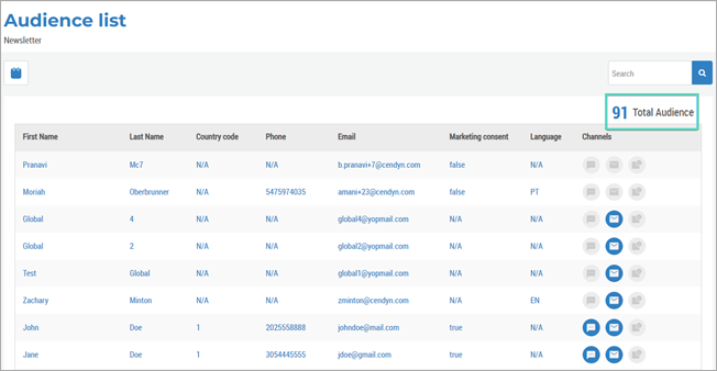 Screenshot of an "Audience list" page for an email campaign. The table displays contact details including first name, last name, country code, phone number, email, marketing consent, language, and available communication channels. A highlighted count in the top right corner shows "91 Total Audience." Several rows show partial or placeholder contact data, and a search bar appears above the table for filtering the list.