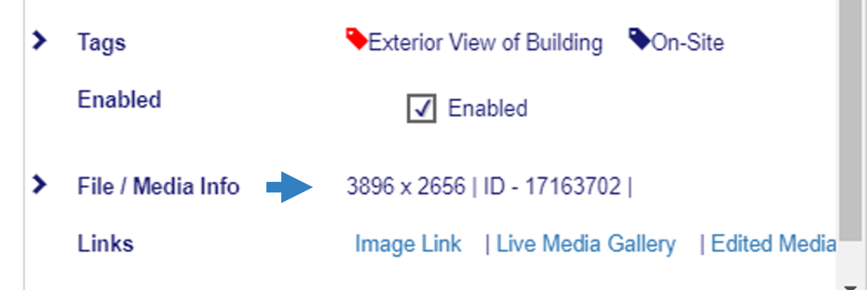 file_info.png
