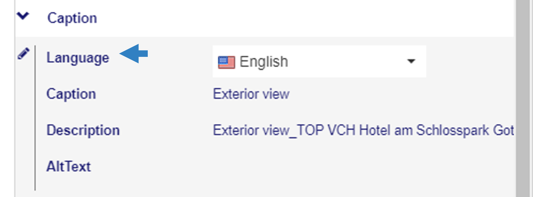 language.png